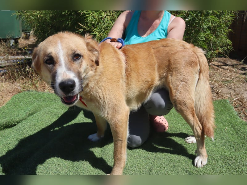 Lieblingsbeschäftigung Kuscheln ❤️ Robina ❤️