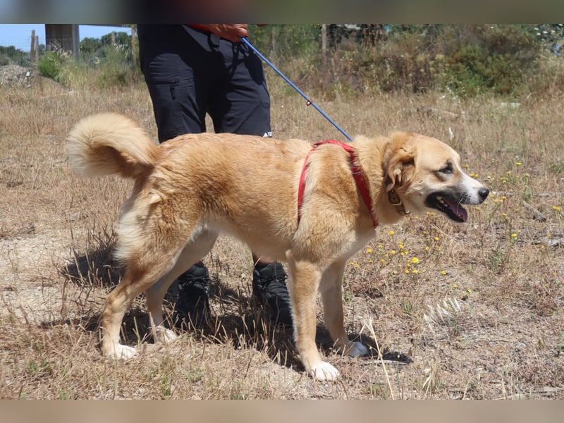 Lieblingsbeschäftigung Kuscheln ❤️ Robina ❤️