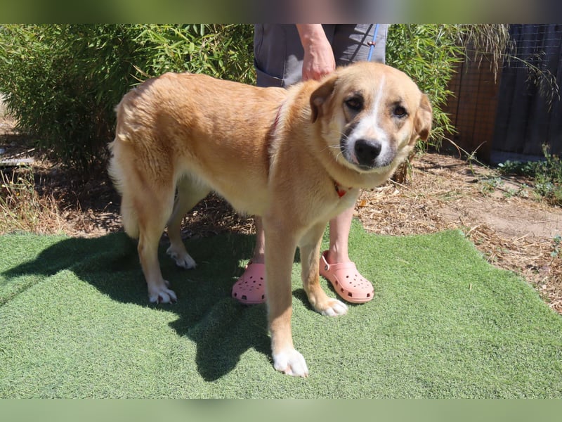 Lieblingsbeschäftigung Kuscheln ❤️ Robina ❤️