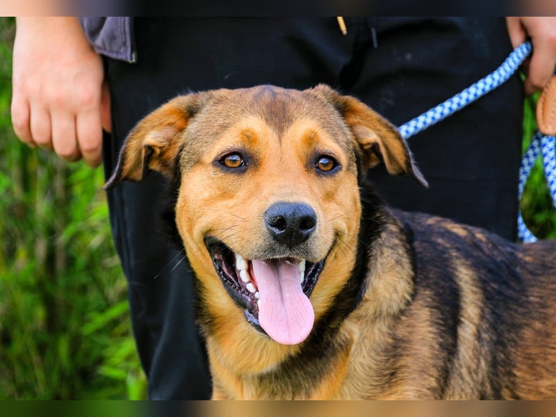 Freundlich – Sanft – Unkompliziert = • P•E•P•E •