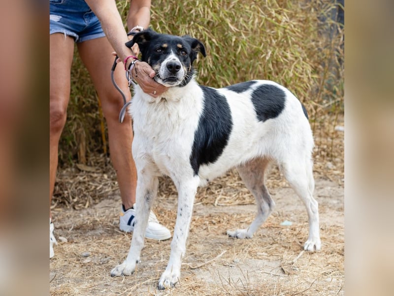 Fabiana ❣️ Ein liebes (großes) Mädchen