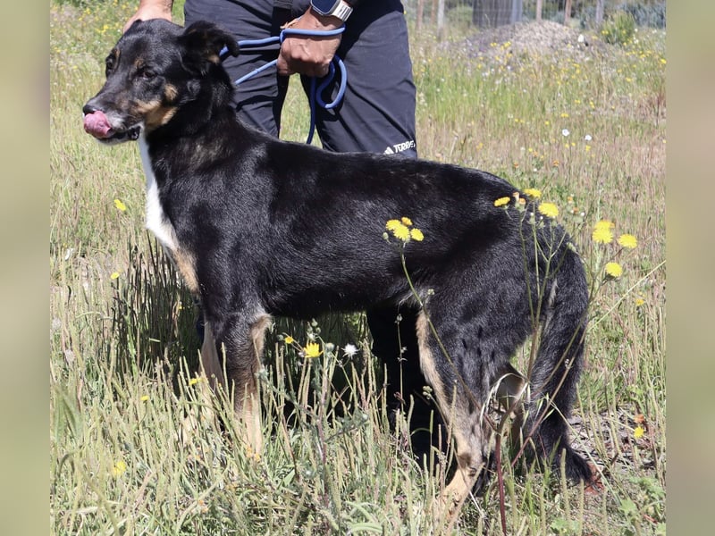 MaMa ❤️ MiMi hat sich aufopferungsvoll gekümmert ~  nun soll auch sie ihr Glück finden