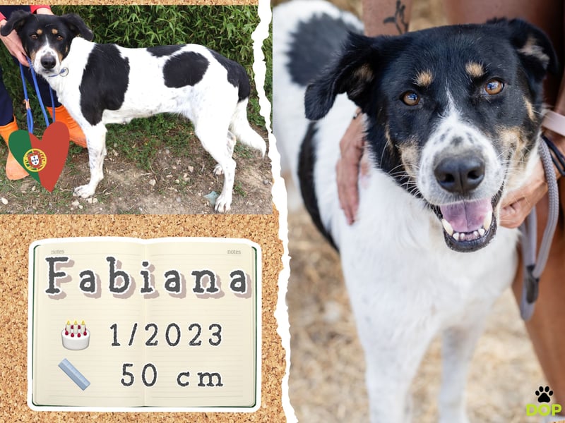 Fabiana ❣️ Ein liebes (großes) Mädchen