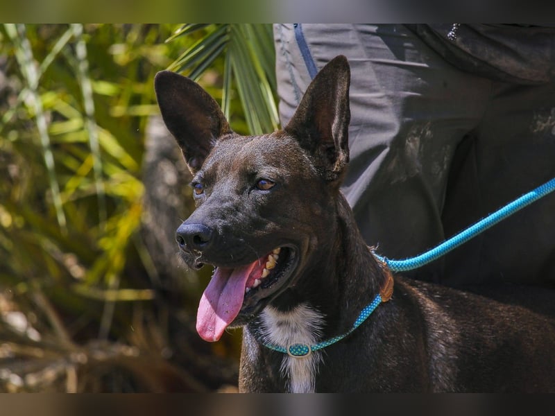 Powerlady Lindinha ❤️ liebt Katzen und Menschen