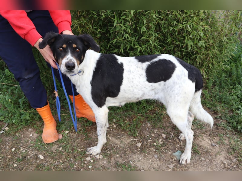 Fabiana ❣️ Ein liebes (großes) Mädchen