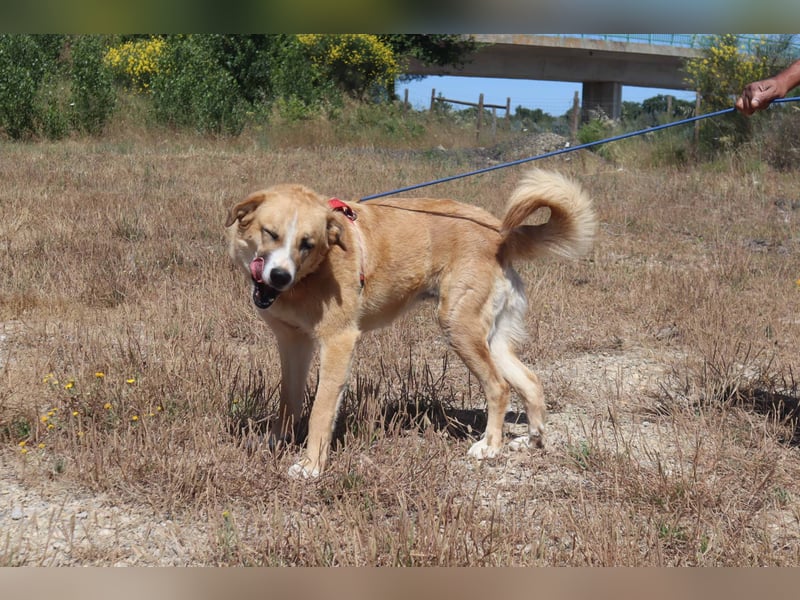 Lieblingsbeschäftigung Kuscheln ❤️ Robina ❤️