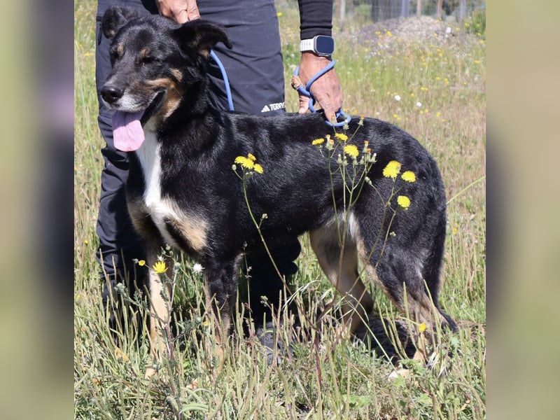 MaMa ❤️ MiMi hat sich aufopferungsvoll gekümmert ~  nun soll auch sie ihr Glück finden