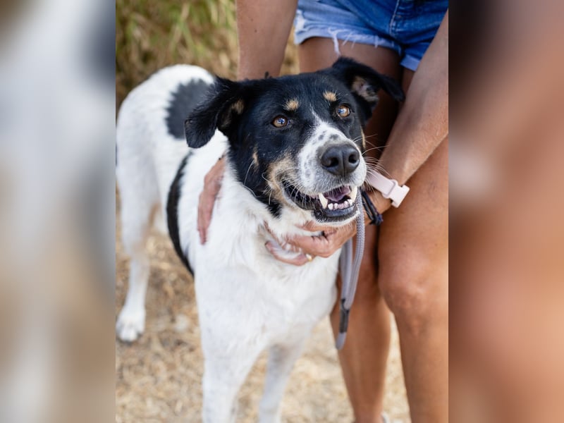 Fabiana ❣️ Ein liebes (großes) Mädchen