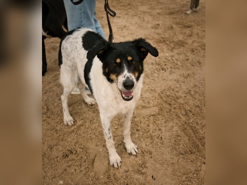 Fabiana ❣️ Ein liebes (großes) Mädchen