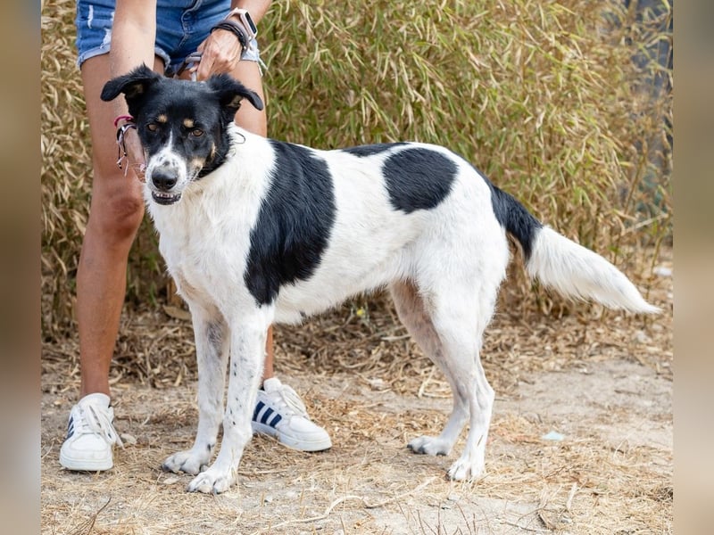 Fabiana ❣️ Ein liebes (großes) Mädchen
