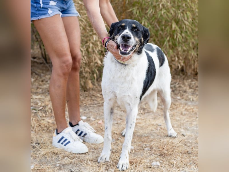 Fabiana ❣️ Ein liebes (großes) Mädchen
