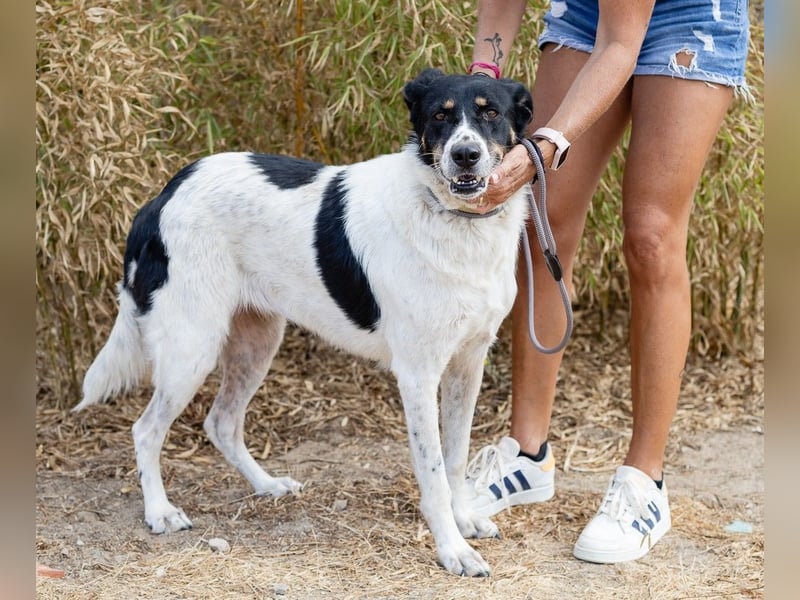 Fabiana ❣️ Ein liebes (großes) Mädchen
