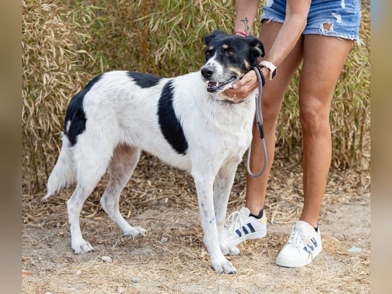 Fabiana ❣️ Ein liebes (großes) Mädchen