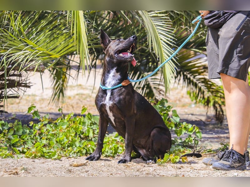 Powerlady Lindinha ❤️ liebt Katzen und Menschen