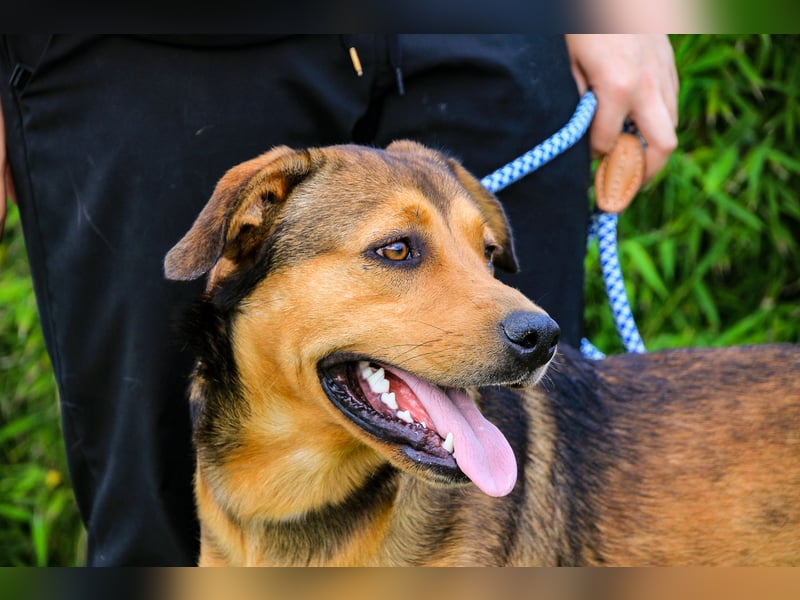 Freundlich – Sanft – Unkompliziert = • P•E•P•E •