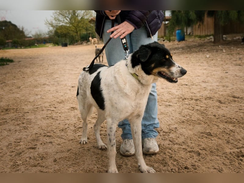 Fabiana ❣️ Ein liebes (großes) Mädchen