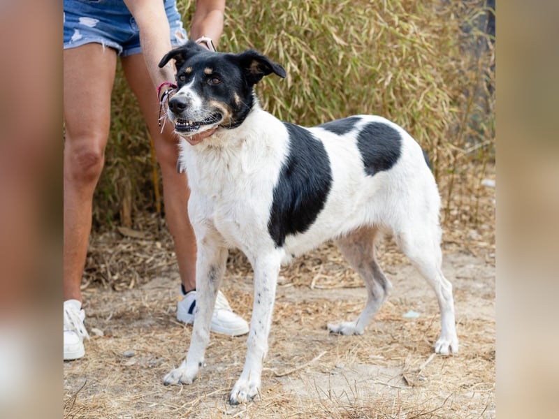 Fabiana ❣️ Ein liebes (großes) Mädchen