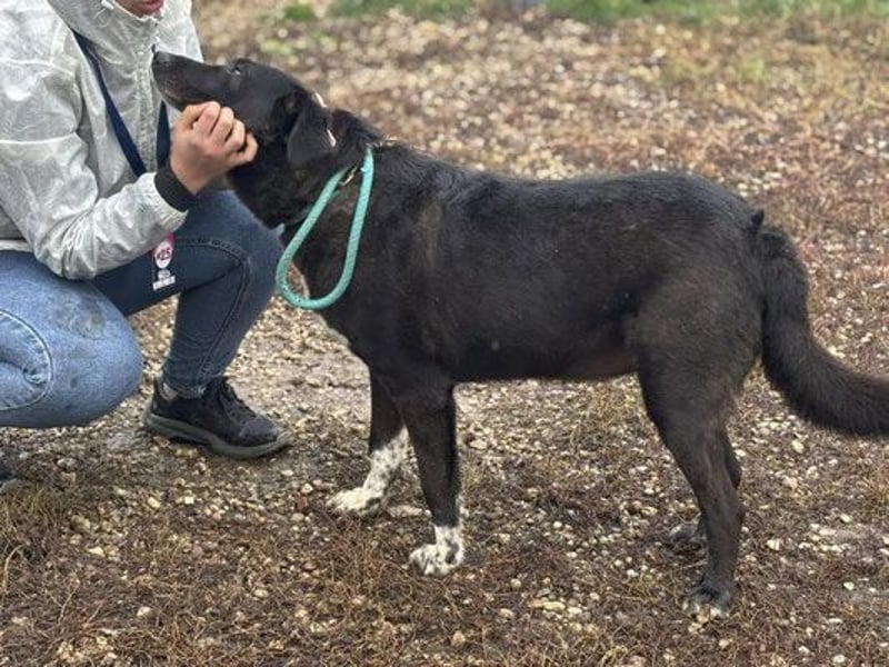 Martin - männlich, geb. 2020