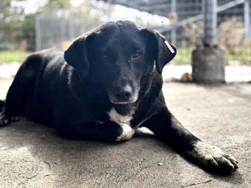 Martin - männlich, geb. 2020