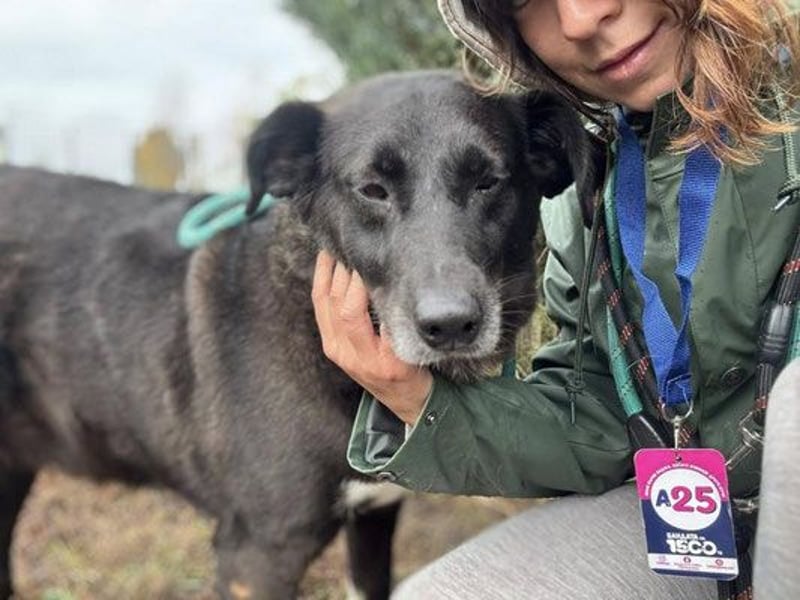 Martin - männlich, geb. 2020