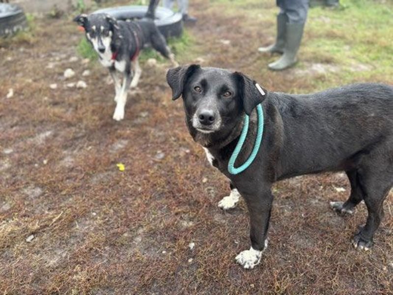 Martin - männlich, geb. 2020