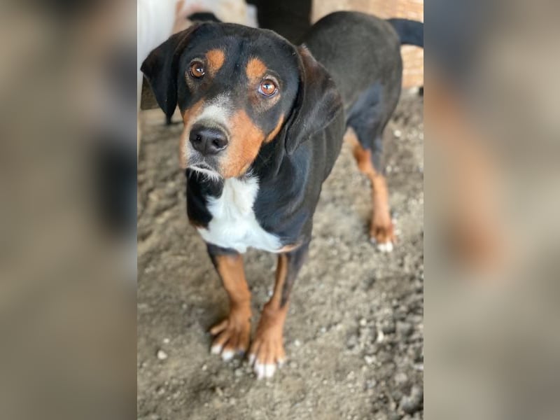 Kabelo, geb. ca. 04/2024, lebt in GRIECHENLAND, auf einer privaten Pflegestelle