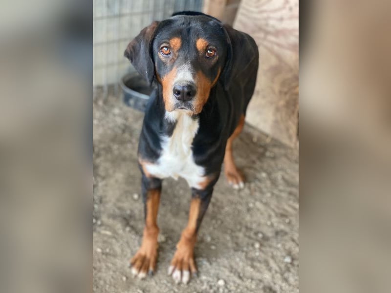 Kabelo, geb. ca. 04/2024, lebt in GRIECHENLAND, auf einer privaten Pflegestelle