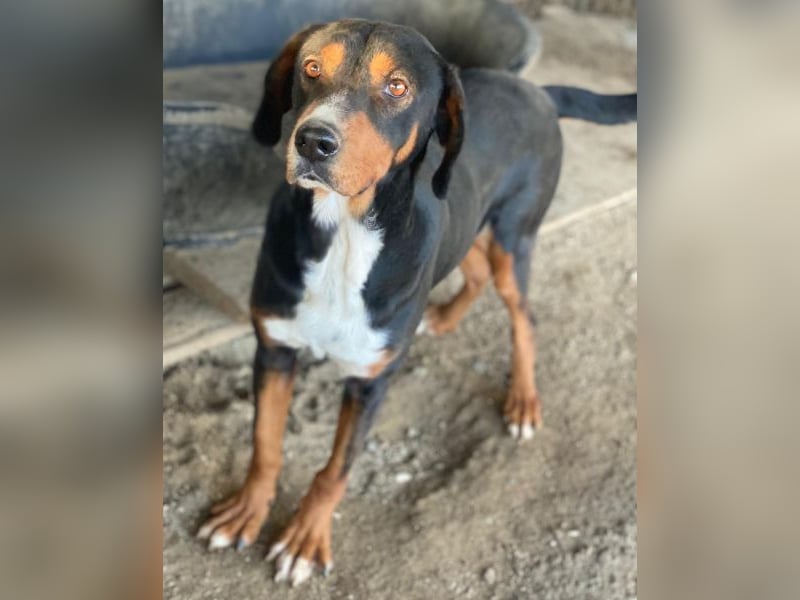 Kabelo, geb. ca. 04/2024, lebt in GRIECHENLAND, auf einer privaten Pflegestelle