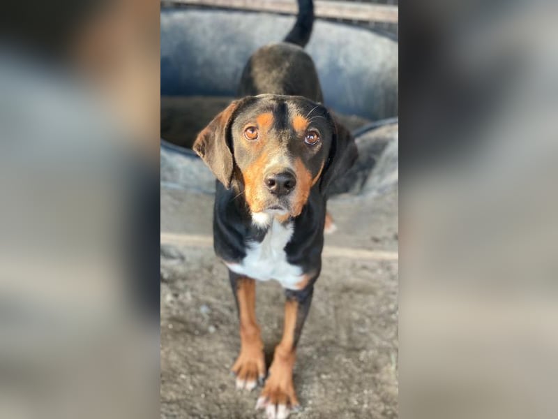 Kabelo, geb. ca. 04/2024, lebt in GRIECHENLAND, auf einer privaten Pflegestelle