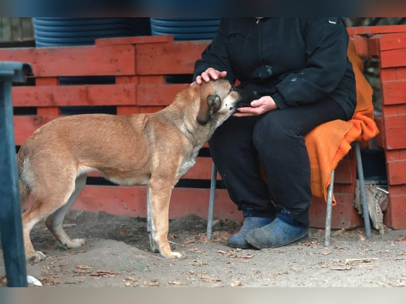 Schüchterne Alani sucht Menschen die ihr Sicherheit geben