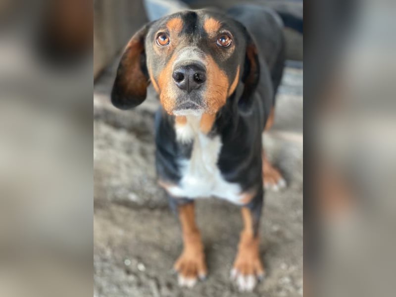 Kabelo, geb. ca. 04/2024, lebt in GRIECHENLAND, auf einer privaten Pflegestelle