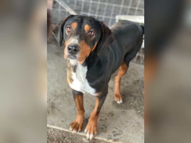 Kabelo, geb. ca. 04/2024, lebt in GRIECHENLAND, auf einer privaten Pflegestelle