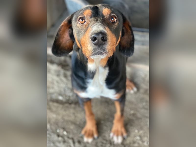 Kabelo, geb. ca. 04/2024, lebt in GRIECHENLAND, auf einer privaten Pflegestelle