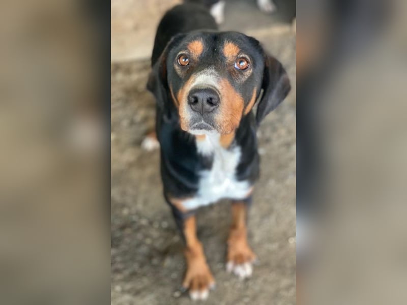 Kabelo, geb. ca. 04/2024, lebt in GRIECHENLAND, auf einer privaten Pflegestelle