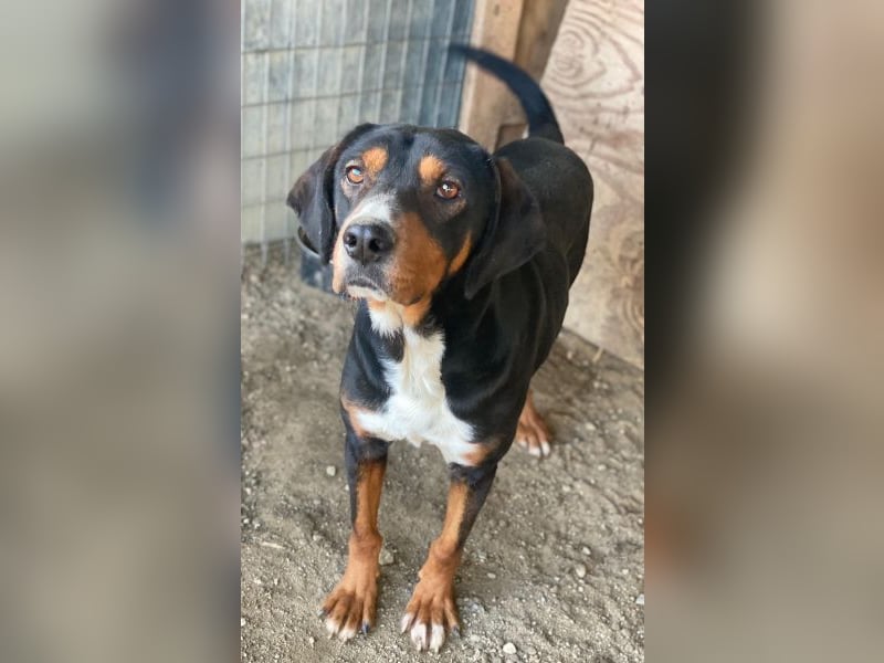 Kabelo, geb. ca. 04/2024, lebt in GRIECHENLAND, auf einer privaten Pflegestelle