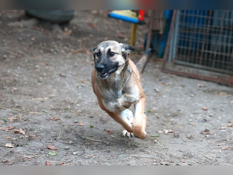 Schüchterne Alani sucht Menschen die ihr Sicherheit geben