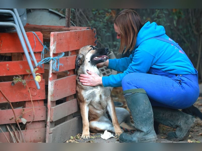 Schüchterne Alani sucht Menschen die ihr Sicherheit geben