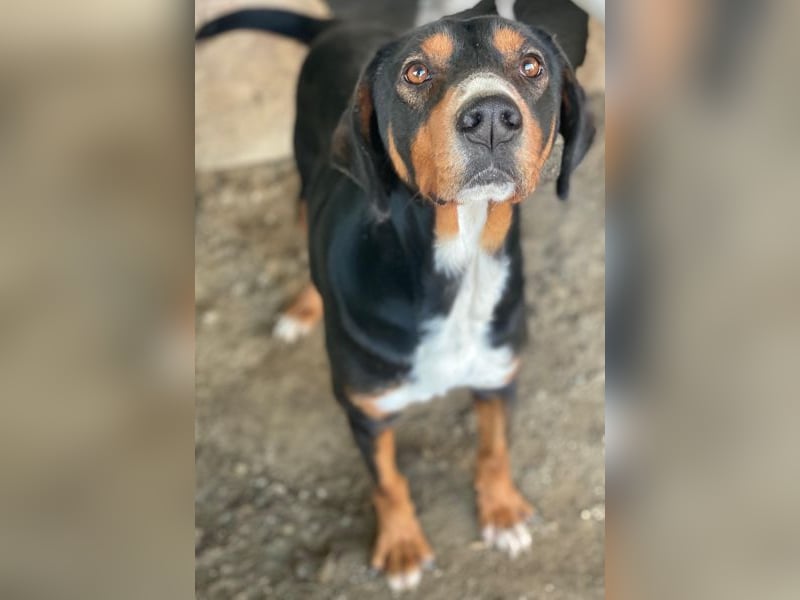 Kabelo, geb. ca. 04/2024, lebt in GRIECHENLAND, auf einer privaten Pflegestelle