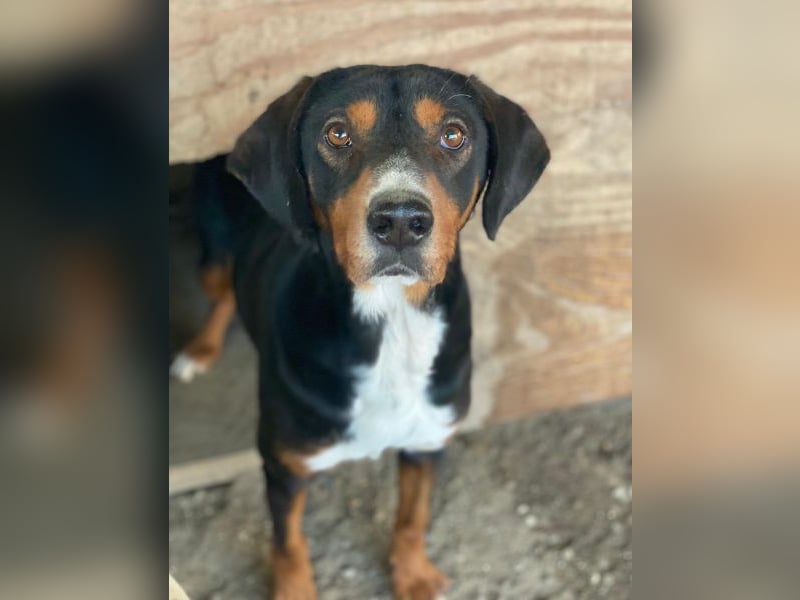 Kabelo, geb. ca. 04/2024, lebt in GRIECHENLAND, auf einer privaten Pflegestelle