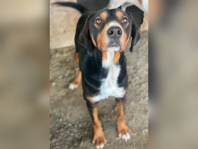 Kabelo, geb. ca. 04/2024, lebt in GRIECHENLAND, auf einer privaten Pflegestelle