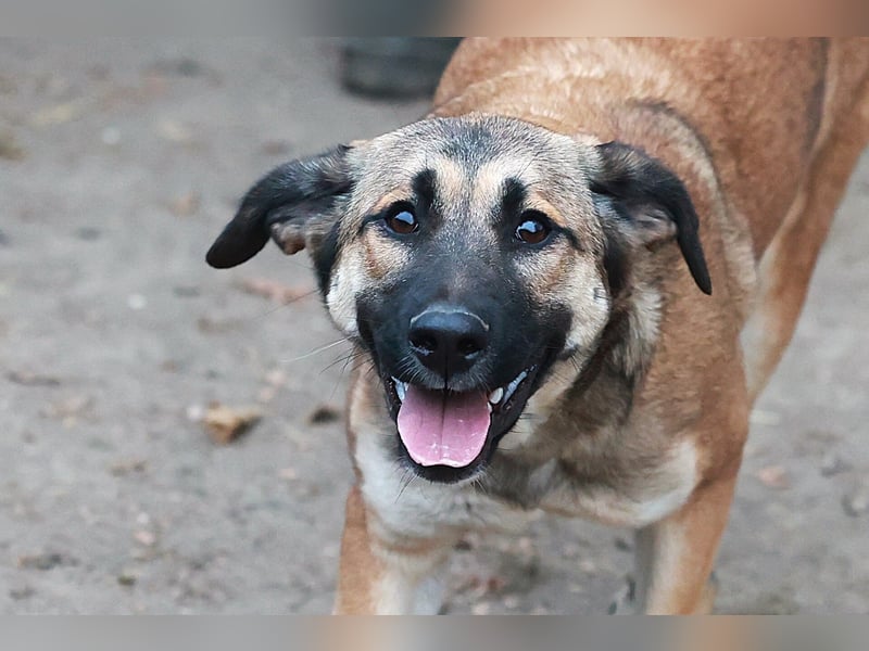 Schüchterne Alani sucht Menschen die ihr Sicherheit geben