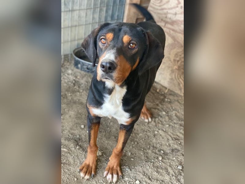 Kabelo, geb. ca. 04/2024, lebt in GRIECHENLAND, auf einer privaten Pflegestelle