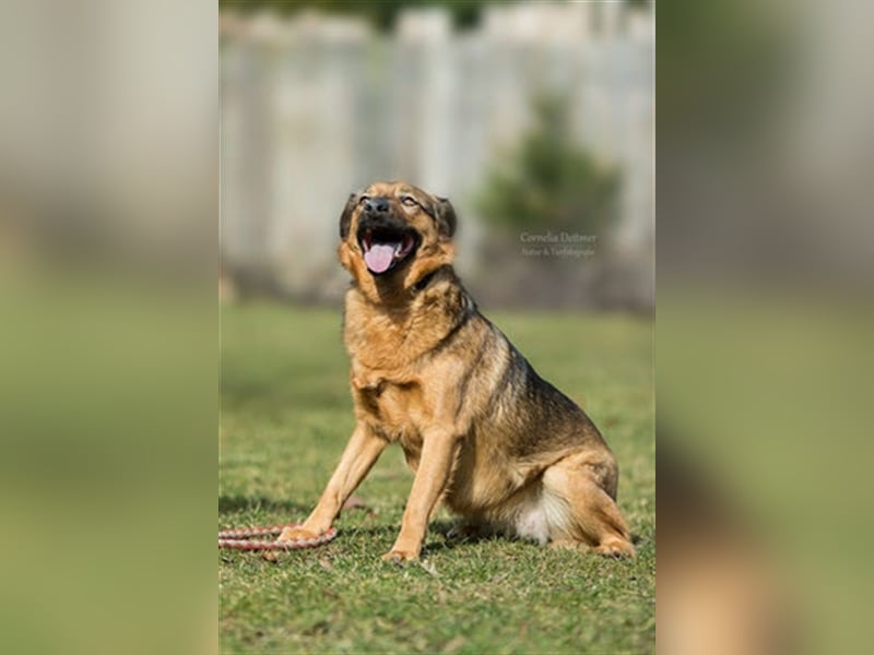 SIRA (W) hat eine lange Leidensgeschichte hinter sich!