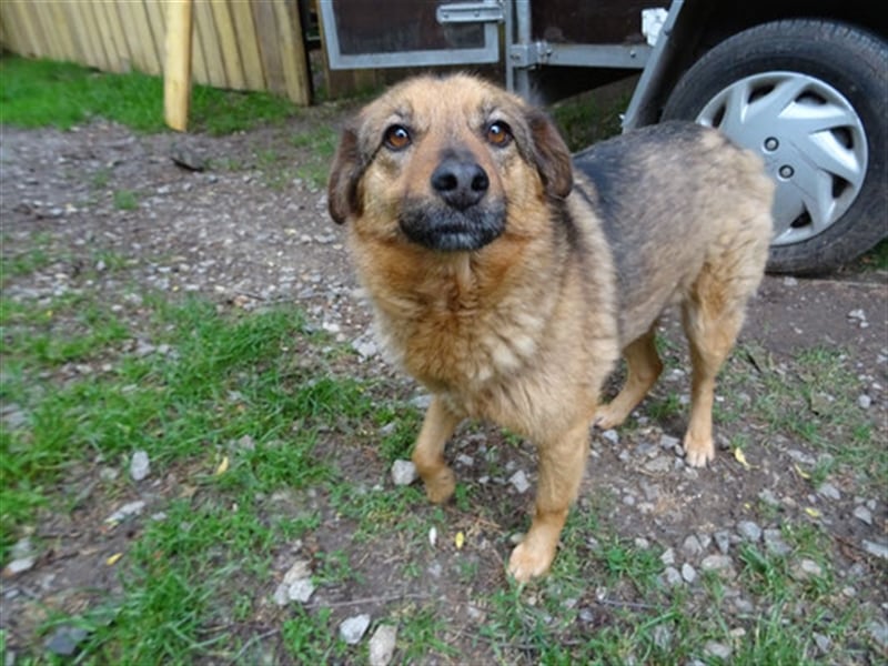 SIRA (W) hat eine lange Leidensgeschichte hinter sich!