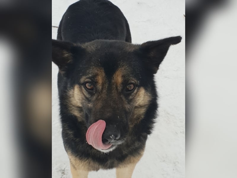 RANJA sucht ihre ZUHAUSE