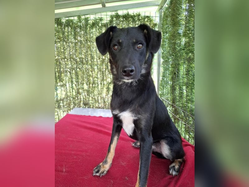 Cody – junger hübscher Teenie sucht seine Menschen
