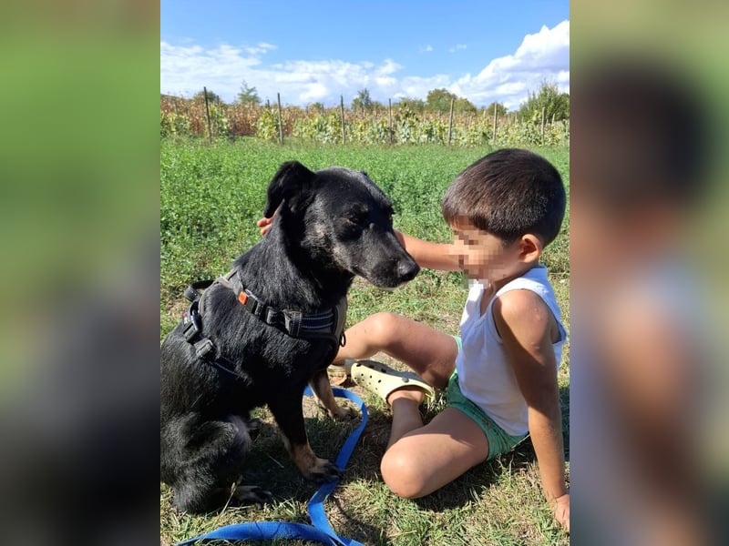 Cody – junger hübscher Teenie sucht seine Menschen