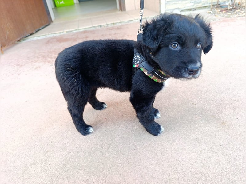 Blu - mutterseelenallein gefunden