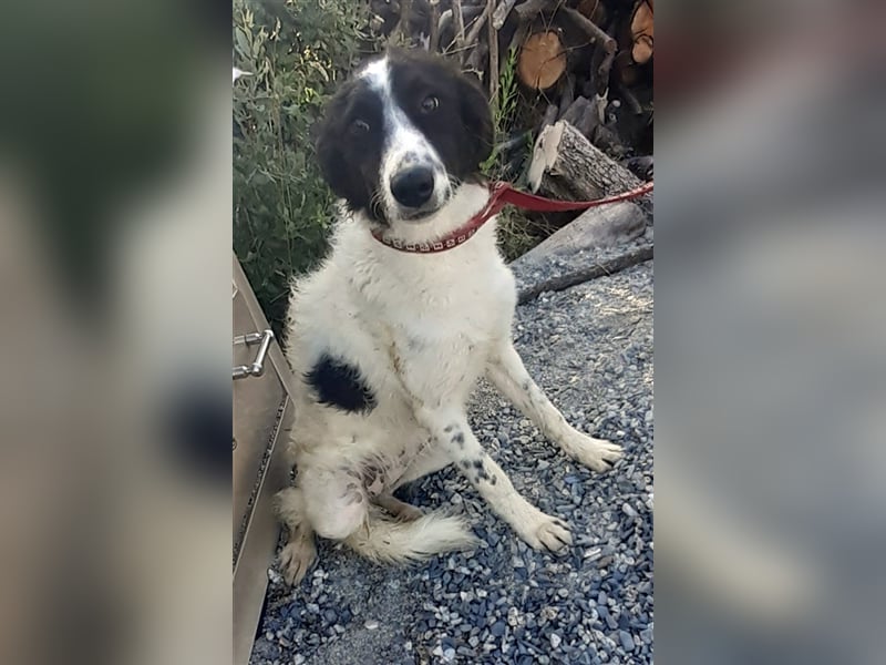 Claudia – Über die Alpen……….