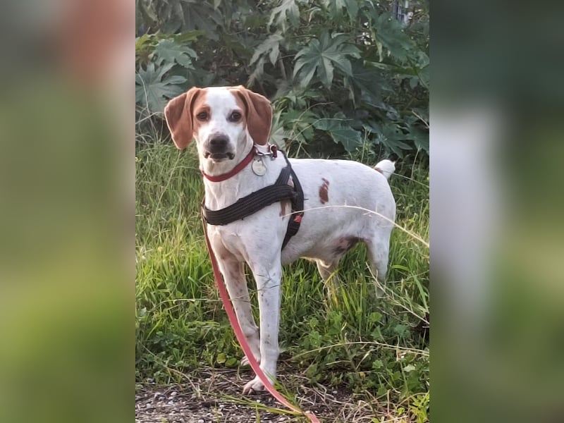Cooper: „Ich wäre dann jetzt mal hier. Wann geht’s weiter nach Hause?“